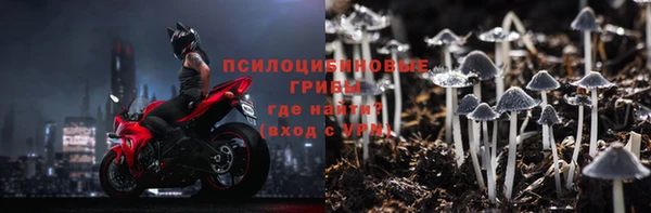 стаф Алексеевка