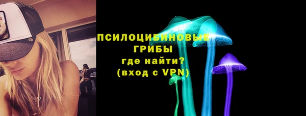 стаф Алексеевка